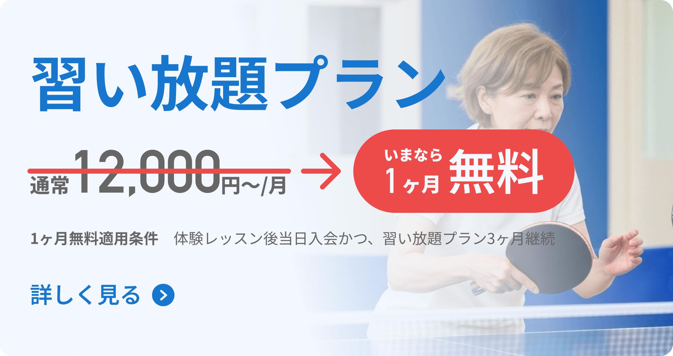 習い放題プラン