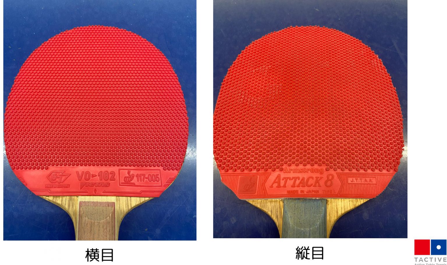 卓球の表ソフトラバーとは?特徴や選び方、使い方を徹底解説 | 卓球スクール |タクティブ
